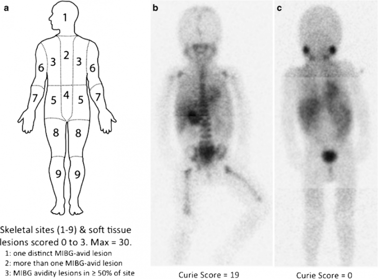 Resources – Spectrum Radiology North